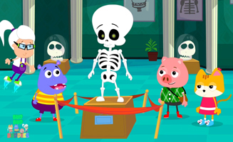 Bones In The Body