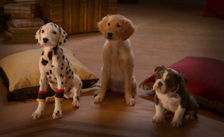 Phantom Pups S01E04 Phantom Phoam