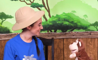 Exploring The Amazon