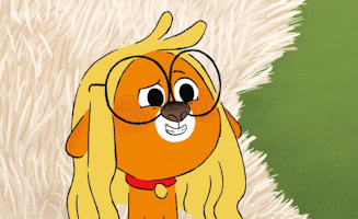 Stinki Ist Im Fernsehen