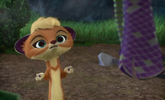 Automne Dans La Taiga