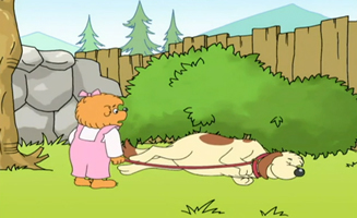 Petit Probleme Avec Largent