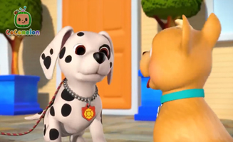 Welpenfreunde Finden