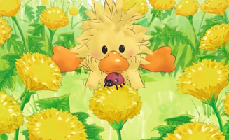 Whitze Plays Hide-And-Seek