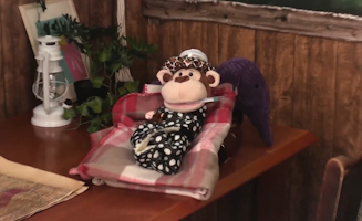 Frogs Bees and Elephants