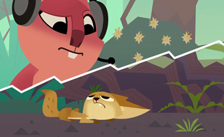 Quokkas Wild Life S01E05 Agent K