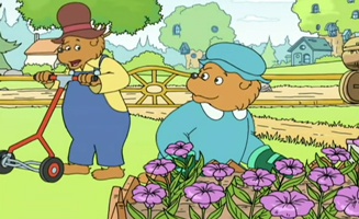 Les Nouveaux Voisins La Grande Election