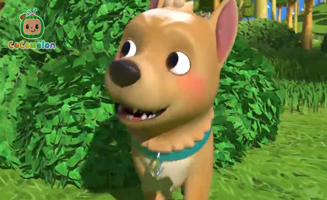 Wo Ist Der Kleine Hund