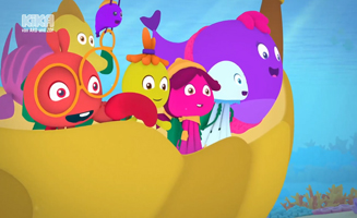 Ubernachtung Im Algenwald