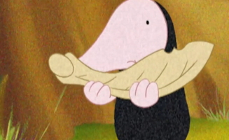 Und Der Trudligen Ahornnase