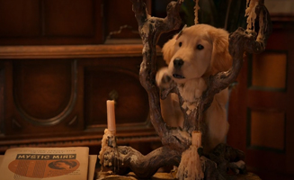 Phantom Pups S01E01 Meet The Phantom Pups