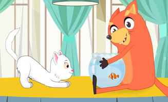 My Cat Is Small And Her Name Is Namira