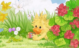 Whitzey Takes Photos