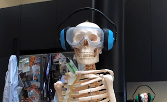 Breaking Bendy Bones