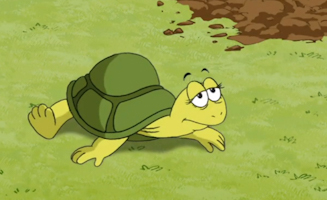 Die Rettungsschwimmer