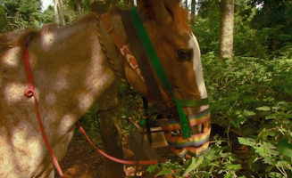 A World Of Wonders S01E07 Gauchos In Argentina