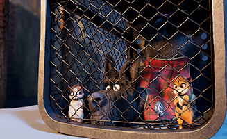 Mystery Lane S01E08 The Serval of the Thames