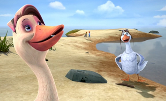 Paradis Presque Pour Tous