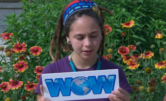 A World Of Wonders S01E13 A Stay In Nyinyikay