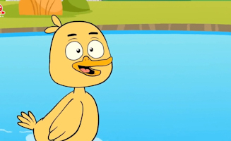 Cat And Duck