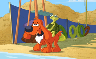 Der Rettungsschwimmer