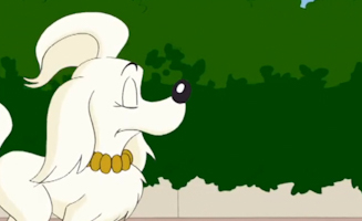 Bill Der Futtertester