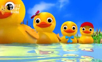 Compter-Cinq Ptits Canards