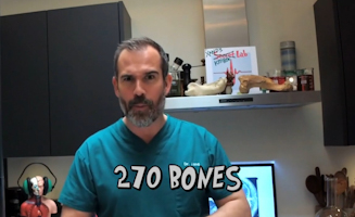 How Strong Are Your Bones