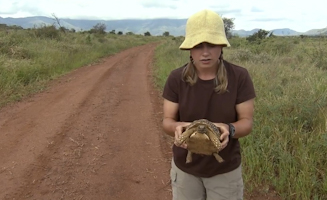 A World Of Wonders S01E28 Calling All Rhinos