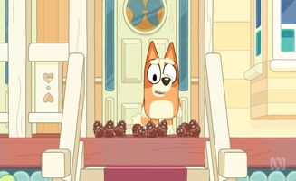 Bluey Minisodes S02E02 Green Bottles