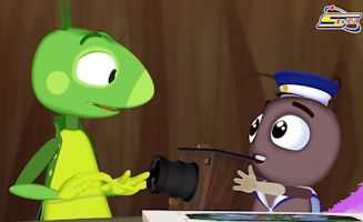 Professional Photographer