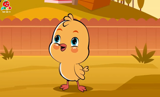 Im A Hen Were The Chicks