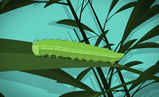 Maddies Do You Know S03E07 Butterfly And Wallpaper