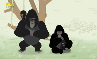 Ein Neues Zuhause Fur Die Gorillas