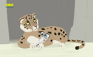 Knuddeln Ist Die Beste Medizin