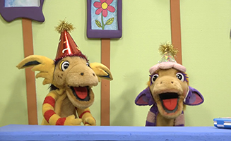 Whats Happening To Bibi