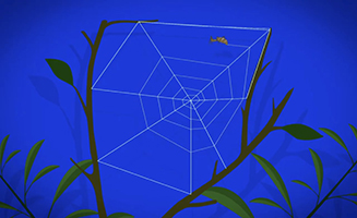 Maddies Do You Know S03E22 Watering Can And Spider Webs