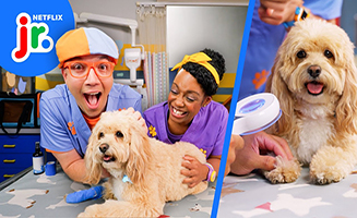 Blippis Job Show S02E03 Veterinarians