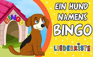 Bingo