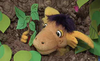 Now You See Me Now You Dont