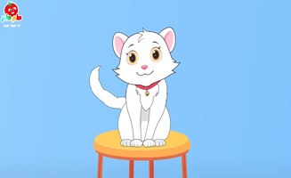 My Little Cats Song Her Name Is Namira