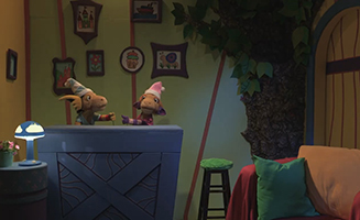 Cricket In The House