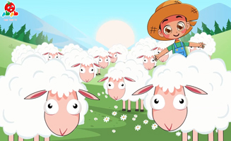 Oh My Sheep