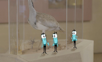 Visiting The Museum