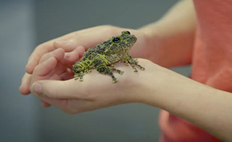 Maddies Do You Know S02E21 Fish Tanks And Bathes