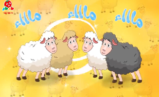 Oh My Sheep Song