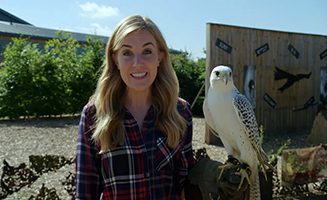 Maddies Do You Know S03E01 Skyscrapers And Birds