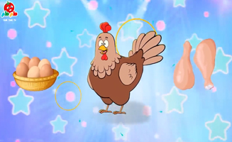 Pet Song For Children