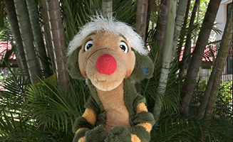 Sneeze Wants A Cracker