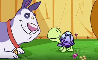 Doggy Day School S01E21 Zippy the Turtle